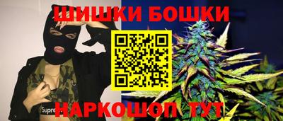 стафф Бердск