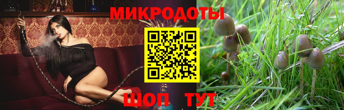 Псилоцибиновые грибы мухоморы  наркота  Вход с VPN  Солнечногорск  Галлюциногенные грибы Magic Shrooms 